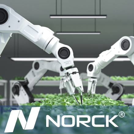 Transforming Manufacturing: Norck's Implementation of Artificial Intelligence in Custom Production